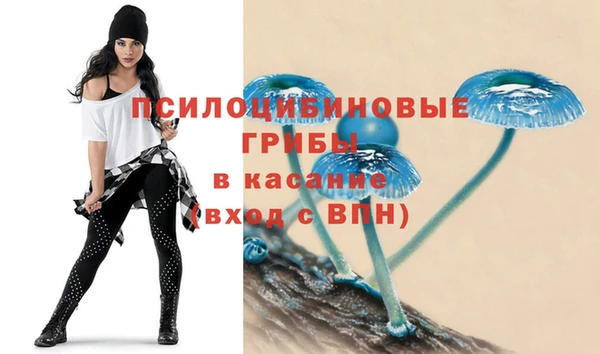 ГАЛЛЮЦИНОГЕННЫЕ ГРИБЫ Абинск