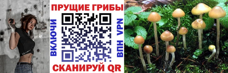 Псилоцибиновые грибы мухоморы  Гусиноозёрск 